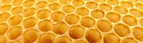 honeycomb-530987_1280-590x177.jpg
